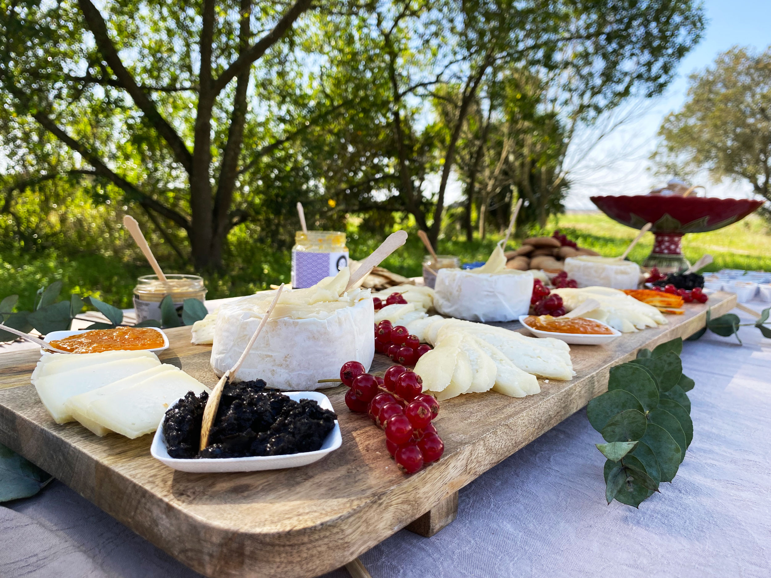 caramela-picnics